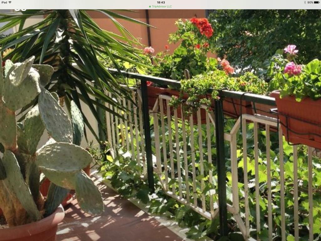 Hotel Mirella Rimini Ngoại thất bức ảnh