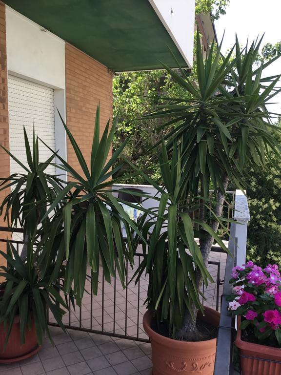 Hotel Mirella Rimini Ngoại thất bức ảnh